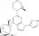Fig. 15 - COMBINATION THERAPY FOR TREATING CANCER
