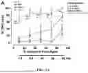 Fig. 04 - Method of Preventing Blast-Induced Loss of Cochlear and Vestibular Hair Cells and Auditory Spiral Ganglion Neurons