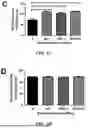 Fig. 10 - Method of Preventing Blast-Induced Loss of Cochlear and Vestibular Hair Cells and Auditory Spiral Ganglion Neurons