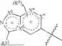 Fig. 17 - SUBSTITUTED HETEROCYCLIC COMPOUND DERIVATIVES AND THEIR PHARMACEUTICAL USE