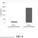 Fig. 07 - COMPOSITIONS FOR PERITONEAL DRUG DELIVERY AND METHODS OF USE THEREOF