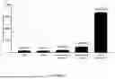 Fig. 13 - WATER-SOLUBLE CANNABIDIOL COMPOSITIONS AND METHOD FOR PREPARATION OF WATER-SOLUBLE CANNABIDIOL