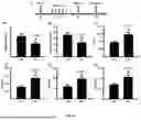 Fig. 05 - Method and Use of Psilocybin in the Prevention and Treatment of Stroke