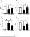 Fig. 06 - Method and Use of Psilocybin in the Prevention and Treatment of Stroke