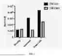 Fig. 08 - METHODS OF TREATMENT WITH COMBINATIONS OF CANNABIDIOL AND PSILOCYBIN