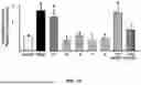 Fig. 02 - Compositions for Improving Physiological Function with Age