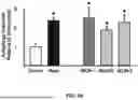 Fig. 03 - Compositions for Improving Physiological Function with Age