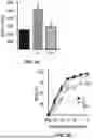 Fig. 05 - Compositions for Improving Physiological Function with Age