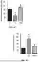 Fig. 06 - Compositions for Improving Physiological Function with Age