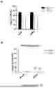 Fig. 04 - METHODS FOR TREATING MYELOID MALIGNANCIES