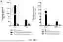 Fig. 19 - METHODS FOR TREATING MYELOID MALIGNANCIES