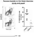 Fig. 25 - METHODS FOR TREATING MYELOID MALIGNANCIES