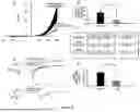 Fig. 12 - COMPOSITIONS OF HYALURONAN WITH HIGH ELASTICITY AND USES THEREOF