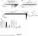Fig. 14 - COMPOSITIONS OF HYALURONAN WITH HIGH ELASTICITY AND USES THEREOF