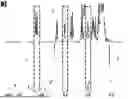 Fig. 01 - MANUFACTURING AND APPLICATION OF MANGANESE-BASED THERANOSTIC NANOPARTICLE TECHNOLOGY
