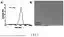 Fig. 02 - MANUFACTURING AND APPLICATION OF MANGANESE-BASED THERANOSTIC NANOPARTICLE TECHNOLOGY