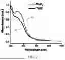 Fig. 03 - MANUFACTURING AND APPLICATION OF MANGANESE-BASED THERANOSTIC NANOPARTICLE TECHNOLOGY