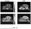 Fig. 11 - MANUFACTURING AND APPLICATION OF MANGANESE-BASED THERANOSTIC NANOPARTICLE TECHNOLOGY