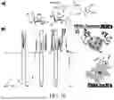 Fig. 17 - MANUFACTURING AND APPLICATION OF MANGANESE-BASED THERANOSTIC NANOPARTICLE TECHNOLOGY