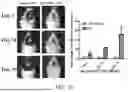 Fig. 20 - MANUFACTURING AND APPLICATION OF MANGANESE-BASED THERANOSTIC NANOPARTICLE TECHNOLOGY