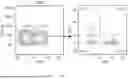 Fig. 09 - METHODS AND COMPOSITIONS FOR TREATING GLIOMAS