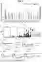 Fig. 17 - TUMOR NEOANTIGENIC PEPTIDES AND USES THEREOF