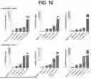 Fig. 18 - TUMOR NEOANTIGENIC PEPTIDES AND USES THEREOF