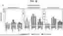 Fig. 25 - TUMOR NEOANTIGENIC PEPTIDES AND USES THEREOF