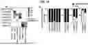 Fig. 26 - TUMOR NEOANTIGENIC PEPTIDES AND USES THEREOF