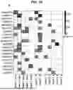 Fig. 27 - TUMOR NEOANTIGENIC PEPTIDES AND USES THEREOF