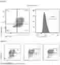 Fig. 05 - PHARMACEUTICAL COMPOSITION FOR TREATING OR PREVENTING T CELL-RELATED DISORDERS