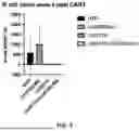 Fig. 04 - COMPOSITIONS AND METHODS FOR B CELL DIRECTED IMMUNOTHERAPIES FOR ANTI-AAV NEUTRALIZING ALLOANTIBODIES