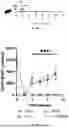 Fig. 05 - COMPOSITIONS AND METHODS FOR B CELL DIRECTED IMMUNOTHERAPIES FOR ANTI-AAV NEUTRALIZING ALLOANTIBODIES