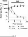 Fig. 06 - COMPOSITIONS AND METHODS FOR B CELL DIRECTED IMMUNOTHERAPIES FOR ANTI-AAV NEUTRALIZING ALLOANTIBODIES