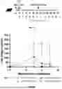 Fig. 07 - COMPOSITIONS AND METHODS FOR B CELL DIRECTED IMMUNOTHERAPIES FOR ANTI-AAV NEUTRALIZING ALLOANTIBODIES