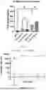 Fig. 08 - COMPOSITIONS AND METHODS FOR B CELL DIRECTED IMMUNOTHERAPIES FOR ANTI-AAV NEUTRALIZING ALLOANTIBODIES