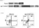 Fig. 04 - COMPOSITIONS AND METHODS FOR TARGETING CD13 AND TIM-3 WITH CAR T CELLS TO TREAT ACUTE MYELOID LEUKEMIA