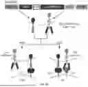 Fig. 06 - COMPOSITIONS AND METHODS FOR TARGETING CD13 AND TIM-3 WITH CAR T CELLS TO TREAT ACUTE MYELOID LEUKEMIA