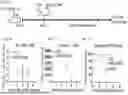 Fig. 10 - COMPOSITIONS AND METHODS FOR TARGETING CD13 AND TIM-3 WITH CAR T CELLS TO TREAT ACUTE MYELOID LEUKEMIA