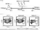Fig. 11 - COMPOSITIONS AND METHODS FOR TARGETING CD13 AND TIM-3 WITH CAR T CELLS TO TREAT ACUTE MYELOID LEUKEMIA