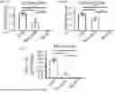 Fig. 12 - COMPOSITIONS AND METHODS FOR TARGETING CD13 AND TIM-3 WITH CAR T CELLS TO TREAT ACUTE MYELOID LEUKEMIA