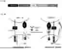 Fig. 13 - COMPOSITIONS AND METHODS FOR TARGETING CD13 AND TIM-3 WITH CAR T CELLS TO TREAT ACUTE MYELOID LEUKEMIA