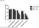 Fig. 21 - COMPOSITIONS AND METHODS FOR TARGETING CD13 AND TIM-3 WITH CAR T CELLS TO TREAT ACUTE MYELOID LEUKEMIA