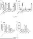 Fig. 04 - PROBIOTIC AND USE THEREOF