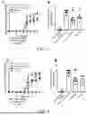 Fig. 05 - PROBIOTIC AND USE THEREOF