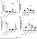 Fig. 09 - PROBIOTIC AND USE THEREOF
