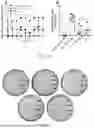 Fig. 10 - PROBIOTIC AND USE THEREOF