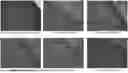 Fig. 01 - EFFECT OF A PROBIOTIC COMPOSITION ON VAGINAL LACTOBACILLUS SPECIES