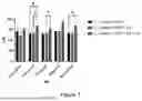 Fig. 04 - EFFECT OF A PROBIOTIC COMPOSITION ON VAGINAL LACTOBACILLUS SPECIES