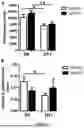 Fig. 03 - OXYTOCIN-MIMETIC COMPOSITIONS AND USES THEREOF